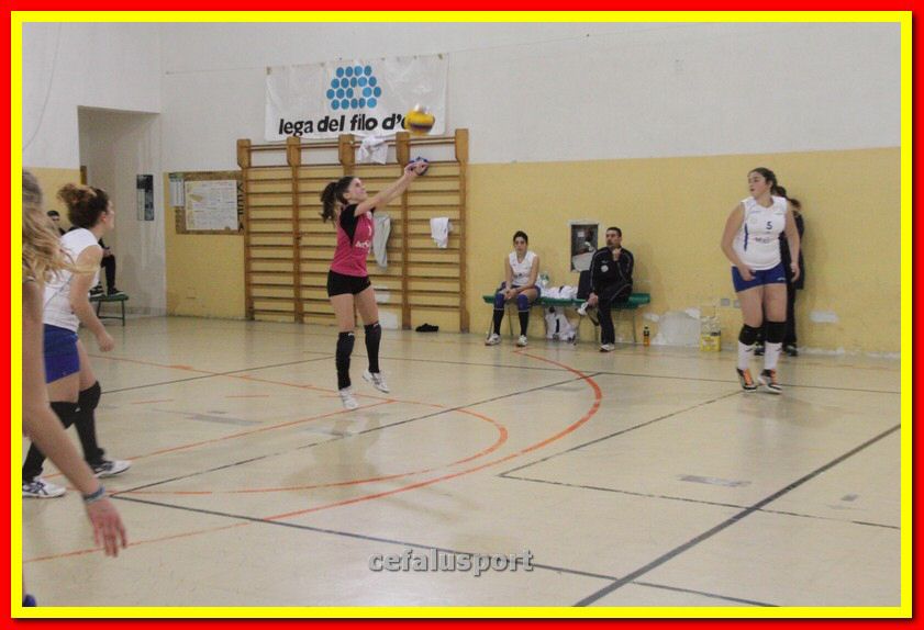140305 Primula 065_tn.jpg